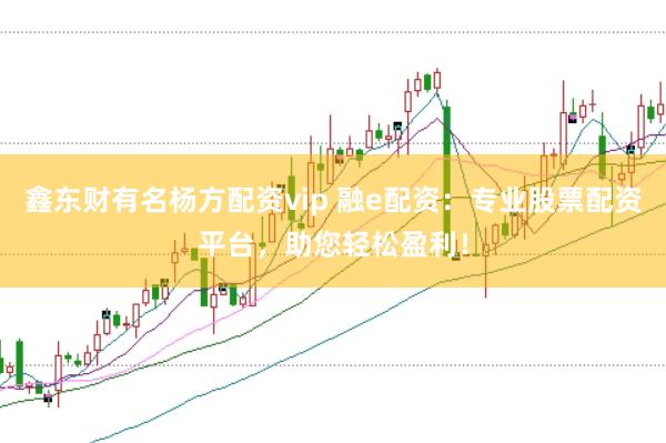 鑫东财有名杨方配资vip 融e配资：专业股票配资平台，助您轻松盈利！