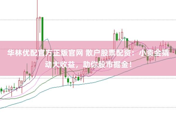 华林优配官方正版官网 散户股票配资:小资金撬动大收益,助你股市掘金!