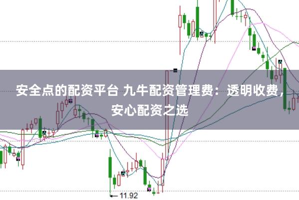 安全点的配资平台 九牛配资管理费：透明收费，安心配资之选