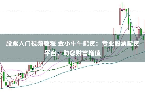 股票入门视频教程 金小牛牛配资:专业股票配资平台,助您财富增值