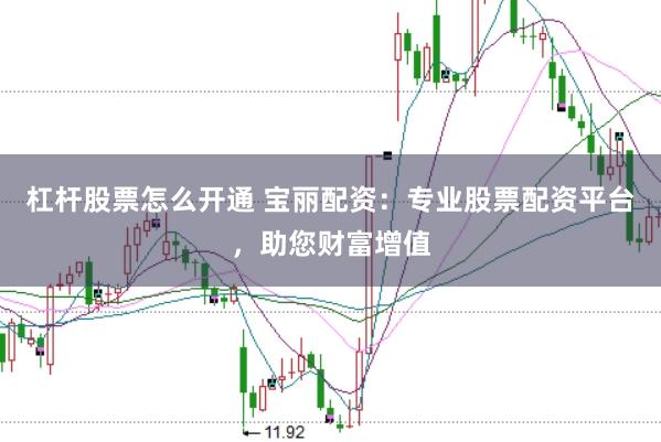 杠杆股票怎么开通 宝丽配资：专业股票配资平台，助您财富增值