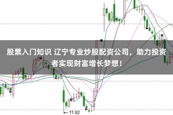 股票入门知识 辽宁专业炒股配资公司,助力投资者实现财富增长梦想!